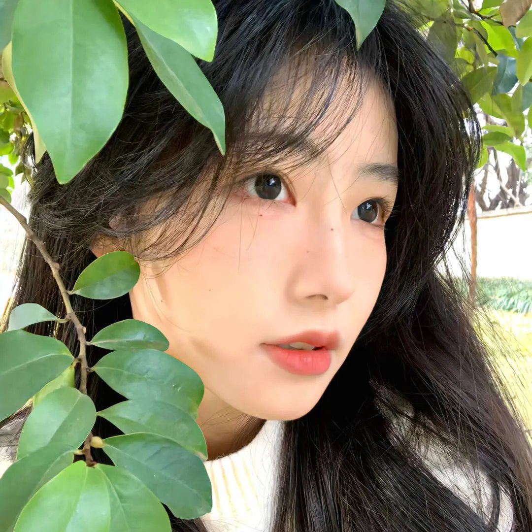 莱奥诺拉的告别